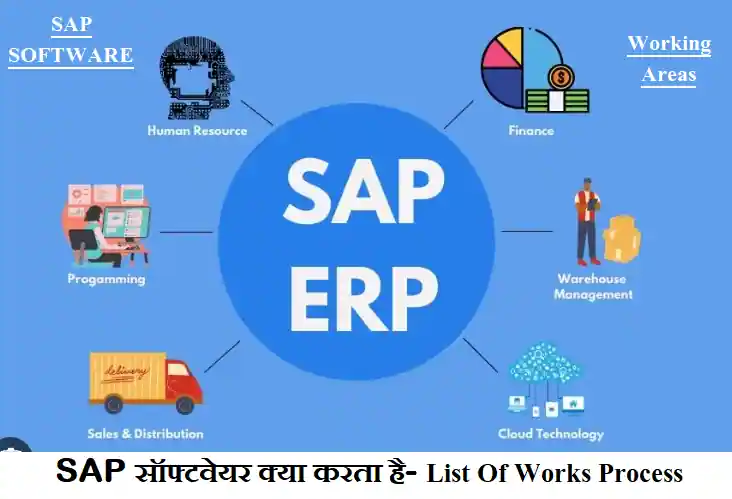 SAP Kya Hai